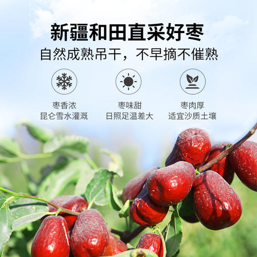 方家铺子 五星骏枣500g袋装 商品图6