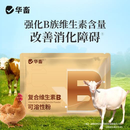 【积分兑换】华畜复合维生素B可溶性粉100g  促消化积食 赖皮症口腔炎 商品图2