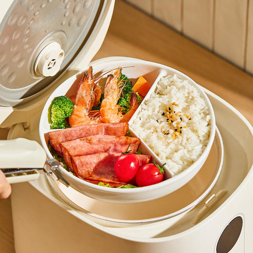 摩登主妇陶瓷三分格蒸盘电饭锅蒸笼家用减脂盘子宝宝儿童辅食餐盘 商品图0