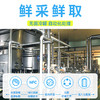 优鲜椰子水1L*2瓶【积分兑换】（直接饮用） 商品缩略图3