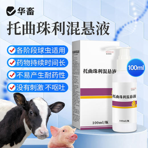 【社群专享】华畜5%球虫清托曲珠利混悬液兽用仔猪犊牛用抗球虫药腹泻拉稀兽药 商品图0
