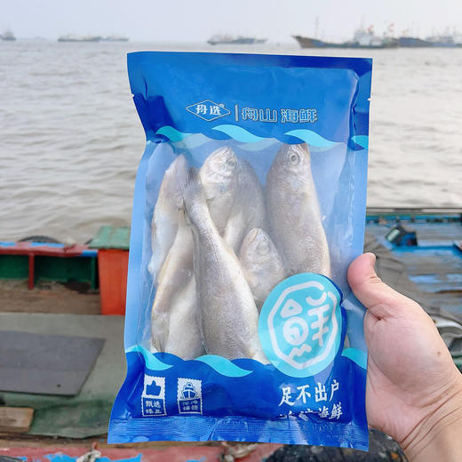 【纯野生 3袋装】舟选 舟山小黄鱼 低脂高蛋白 源头直供 纯野生 码头直达 肉多刺少 肉质细腻 500g*3袋 商品图9