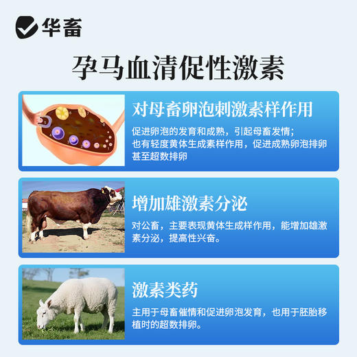 华畜孕马血清兽用注射用血促性素猪牛羊发情针剂母畜促排兽药 商品图2