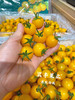 【宏丰精选】黄金千禧新鲜到货，口感很好，纯甜，活动价15.8元一斤 商品缩略图1