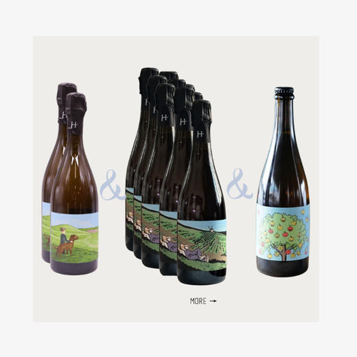 【罗曼埃南香槟酒庄组合套装2】「风土之子」2只+「莫尼耶在沉睡」5只+「苹果兄弟」苹果酒1只 商品图0