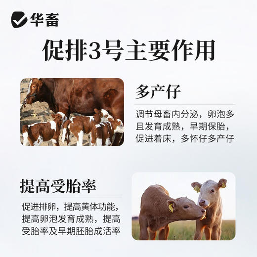 华畜注射用促黄体素释放激素A3多胎素促排仔多猪牛羊犬猫兔排卵素 商品图3