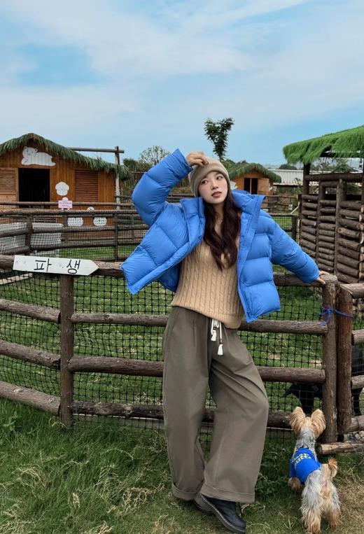 波司登同款三防同里同料时尚小龟背白鹅绒羽绒服 商品图9