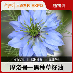 黑种草籽油 Black 印度原料批发 美容院按摩基底油植物油批发