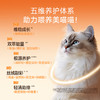 【春日焕新补贴】【虾油爆爆鲜肉猫粮】宽福 35天助美毛长肉  60%鲜肉含量 鱼油 磷虾油 鸡蛋 黑芝麻 蛋黄粉 卵磷脂 天然食补助力美毛 三重益生元 助力呵护肠道健康 商品缩略图3