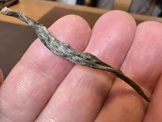 2025春 [参与品控]   普洱 山头集萃  品鉴装   仔细选规格 50克起 商品图5