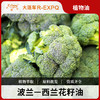 西兰花籽油Broccoli Seed Virgin波兰原料批发身体按摩植物基础油 商品缩略图0