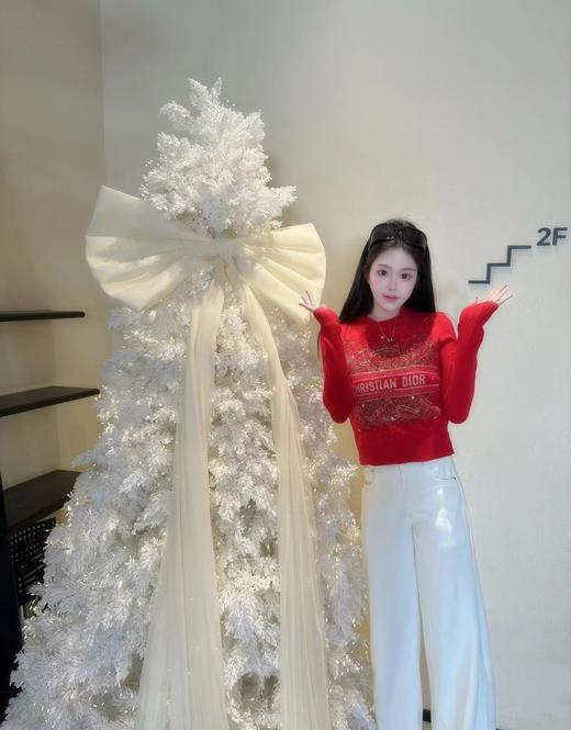 F011213节日限定大刺绣贴钻针织女款圆领毛衣 商品图3