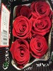 厄瓜多尔进口原色玫瑰FORTUNE财富10支 商品缩略图0