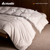 品牌直发 irisette 羽绒蚕丝复合被2.0 商品缩略图1