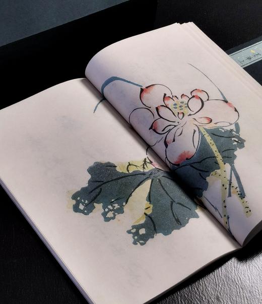 【重磅推荐】《十竹斋书画谱》，全16册，蝴蝶装，247*145mm，[明]胡正言辑，崇文书局2025年一版一印，定价3880，售价2288元。 商品图9