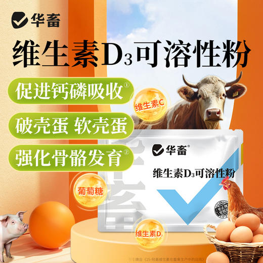 华畜兽用维生素D3可溶性产后瘫痪佝偻病软骨软壳蛋禽鸡猪牛羊腿疼 商品图0
