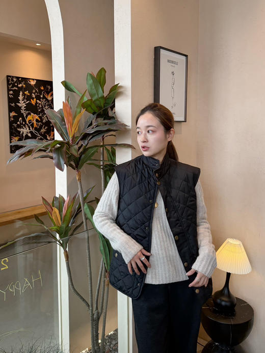 男女通穿|贝克汉姆同款B*rbour 男士绅士立领马甲 商品图1