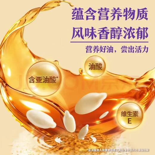 【金皇会员39金币专享】李锦记 纯芝麻香油410ml【一级】100%芝麻香油 京东品酒会同款 油碟凉拌 商品图2