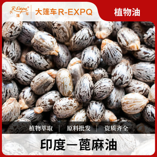 蓖麻油 castor oil 印度进口原料批发滋润肌肤按摩基础植物精华油 商品图0