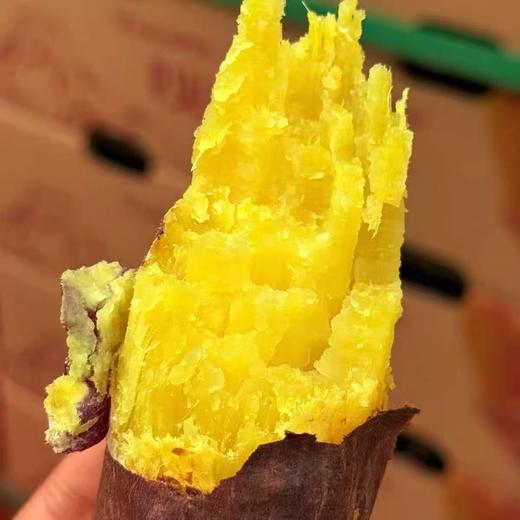 周四取货：【火山榴莲蜜薯】一袋1斤左右，红薯界天花板！ 商品图0