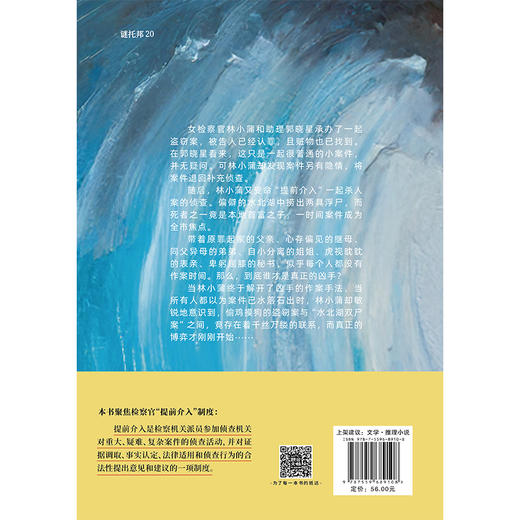 检察官手记：水北湖的迷雾 商品图3