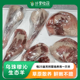 乌珠穆沁生态羊 |  草原散养 鲜嫩不膻  |  基地直发包邮* Mutton | Fair Trade