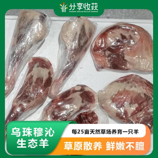 乌珠穆沁生态羊 |  草原散养 鲜嫩不膻  |  基地直发包邮* Mutton | Fair Trade 商品图0