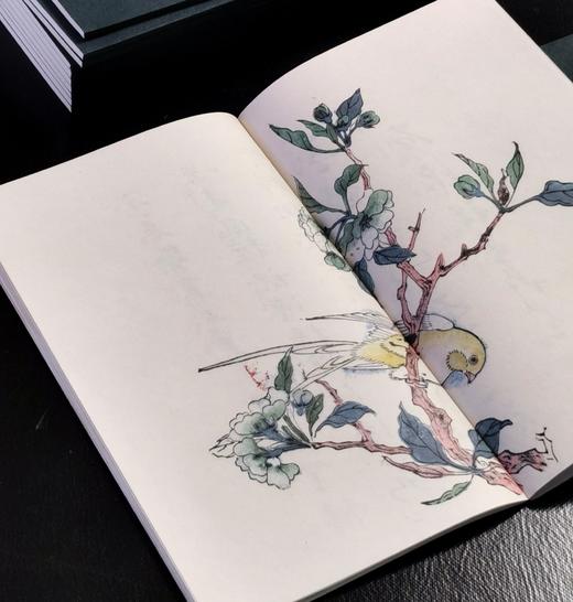 【重磅推荐】《十竹斋书画谱》，全16册，蝴蝶装，247*145mm，[明]胡正言辑，崇文书局2025年一版一印，定价3880，售价2288元。 商品图13