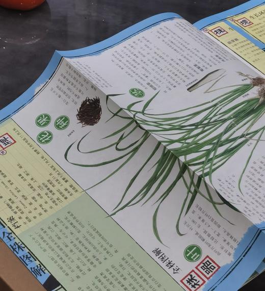 【特惠】《苏州水八仙：中国水生植物》，16开，全9册一盒装，汉声编辑部出品，上海锦绣文章出版社2012年一版一印，420面，定价198，售价75元。 商品图9