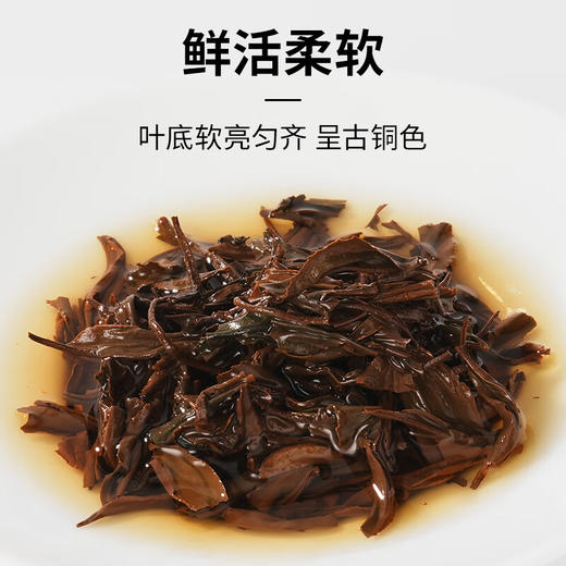 卢正浩红茶金纸包骏眉武夷红茶叶 蜜糖香花果香一级250g纸包下午茶自饮 纸包250g 商品图3