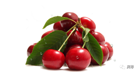 每天2片，碱化尿液，一个无负担的降酸方法