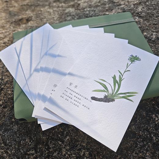 【问安原创】手绘药用植物明信片 商品图2