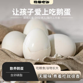 散养鹅蛋丨吃粮食/谷物长大的 蛋清浓稠 蛋黄紧致 腥味小，个头大小不一，介意慎拍‼️现产现发，不接急单！⭐️顺丰快递