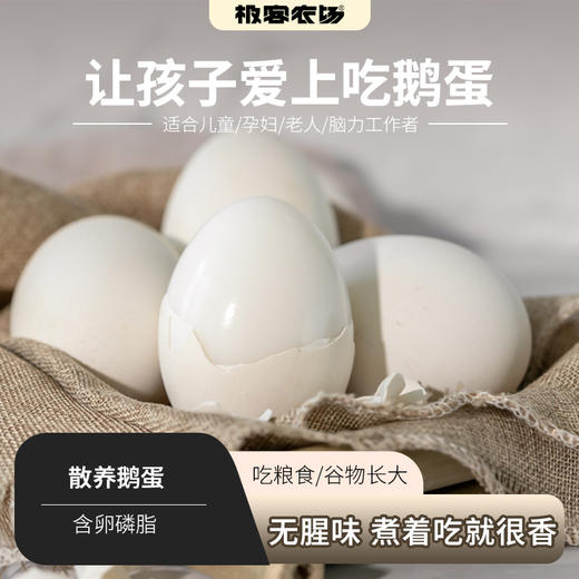 散养鹅蛋丨吃粮食/谷物长大的 蛋清浓稠 蛋黄紧致 腥味小，个头大小不一，介意慎拍‼️现产现发，不接急单！⭐️顺丰快递 商品图0