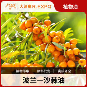 沙棘油 Seabuckthorn 波兰原料批发按摩基础油美容院SPA按摩油