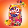 2件起（均价19.5/件）德国二宝nimm2儿童宝宝无添加水果汁棒棒糖-200g 商品缩略图0