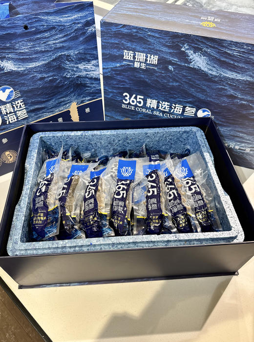 【春节好礼】830元3斤鲜食海参 商品图1