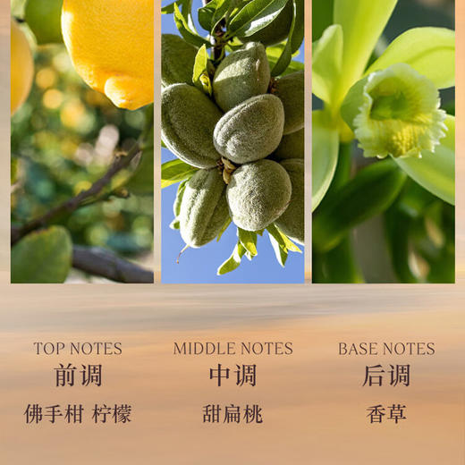 【保税直发】Loccitane 欧舒丹 杏仁身体套装（沐浴油250ml+美肤油100ml+杏仁护手霜30ml+杏仁磨砂皂50g） 【2028/4/2】 商品图2