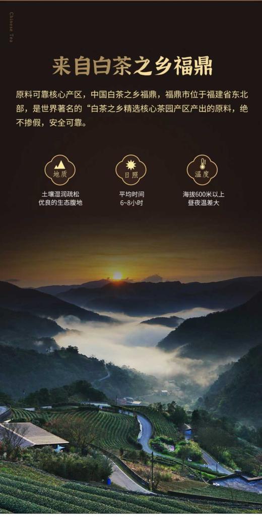 【强韵CCTV展播品牌】马年限定老白茶礼盒【爆仓3-5发货】 商品图5