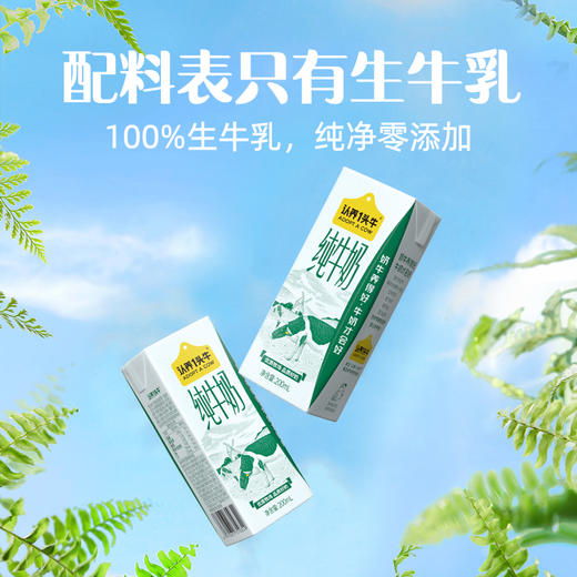 认养一头牛全脂纯牛奶200ml×12 商品图1