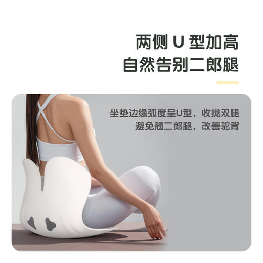 *DHVITAE护腰坐姿椅 人体工学腰靠坐垫「严选自研」 商品图2
