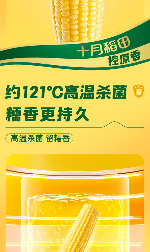 【金皇会员49金币专享】十月稻田 黄甜糯玉米 8根 3.52斤 真空包装 东北粘玉米棒 低脂早餐 商品图5
