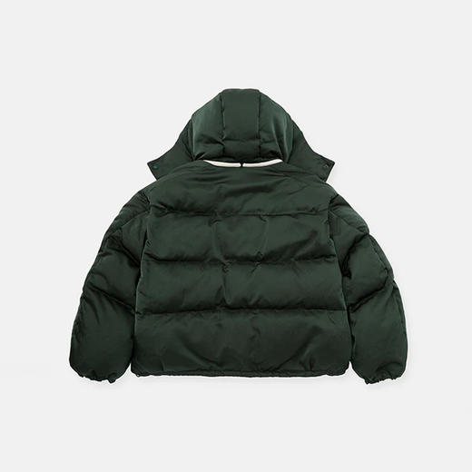 DIGAWEL x F/CE Hoodie puffer联名款宽松廓形男女中性连帽羽绒服 商品图1