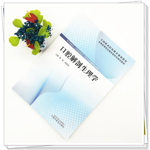 口腔解剖生理学 全国高等职业教育新形态规划教材 董刚 侯良绢 供口腔医学口腔医学技术口腔卫生保健等专业使用 中国中医药出版社 商品图2