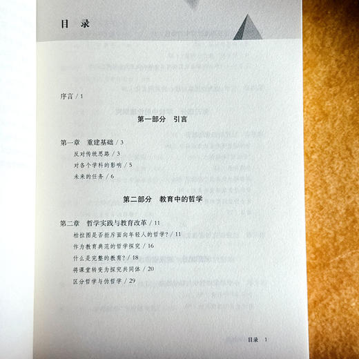 教学中的智慧 为儿童思维而教 儿童哲学 思维教学方法 人工智能时代教育革新 商品图6