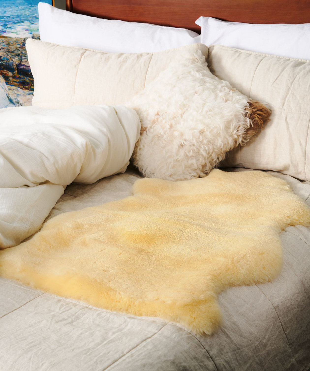 伽罗 JALO 带毛羊皮垫系列