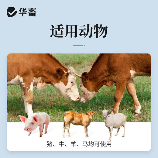 华畜氨茶碱注射液 平喘药 针对性强 省力长效 商品图2