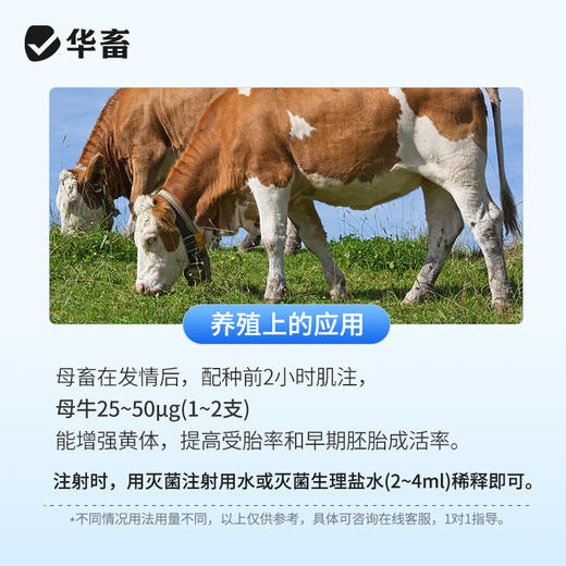 华畜注射用促黄体素释放激素A3多胎素促排仔多猪牛羊犬猫兔排卵素 商品图2