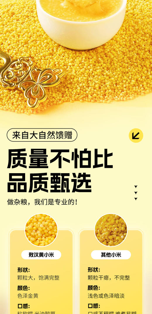 【金皇会员45金币专享】赤川敖汉黄小米5斤 25年新米金苗K1 内蒙古赤峰小米粥杂粮粥黄小米 商品图5