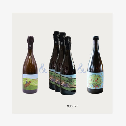 【罗曼埃南香槟酒庄组合套装1】「风土之子」1只+「莫尼耶在沉睡」3只+「苹果兄弟」苹果酒1只 商品图0